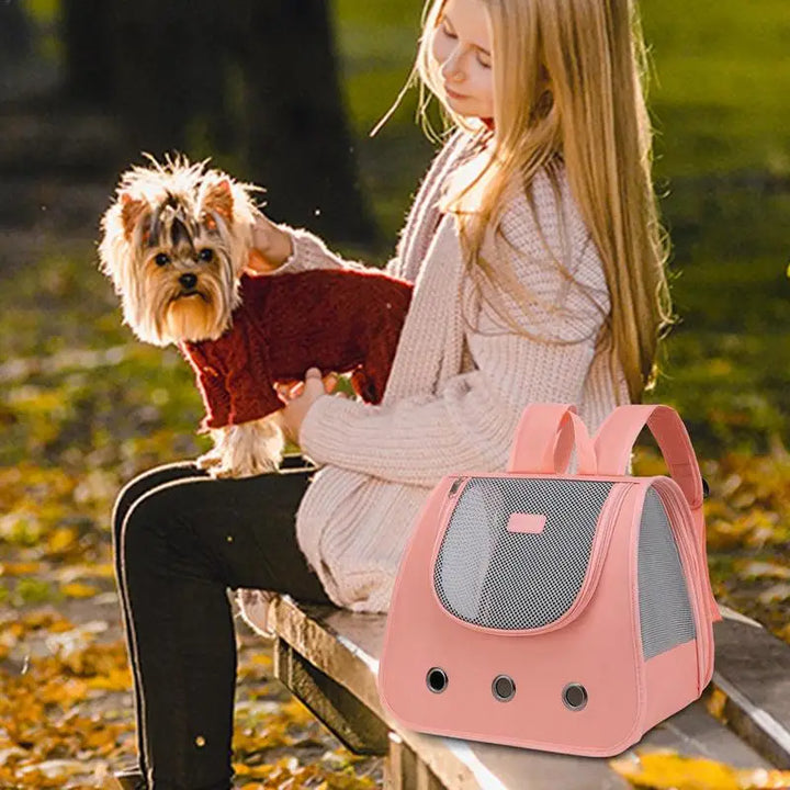 Dog and cat carrier bag: freedom and tenderness on walks