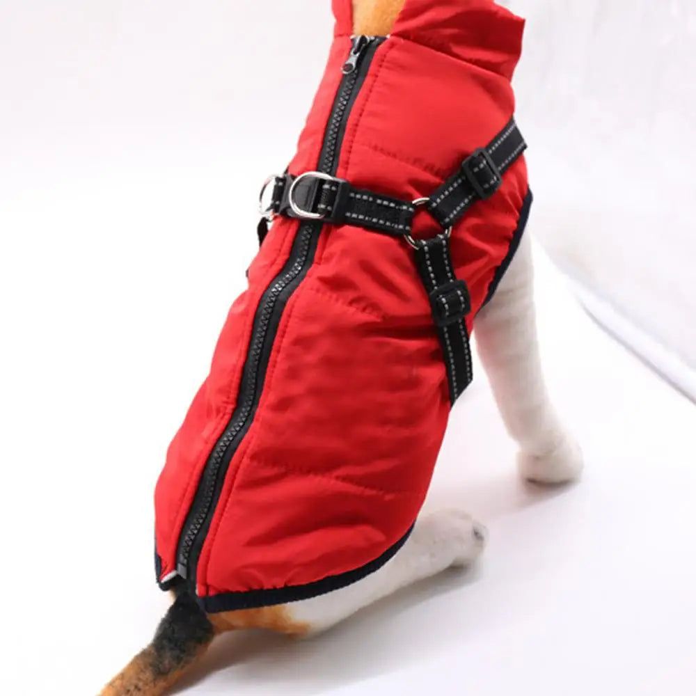 Warm coat with integrated harness – Peaceful winter for your dog