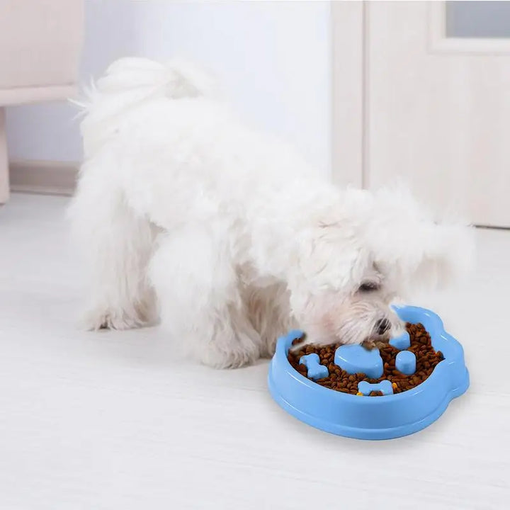 Anti-Gluttony Dog Bowl – Eats Better, Digests Better