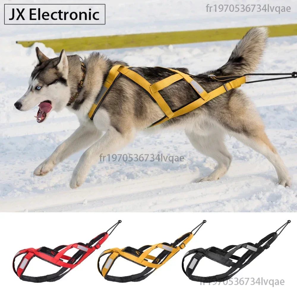 Free and powerful athletic dog pull harness
