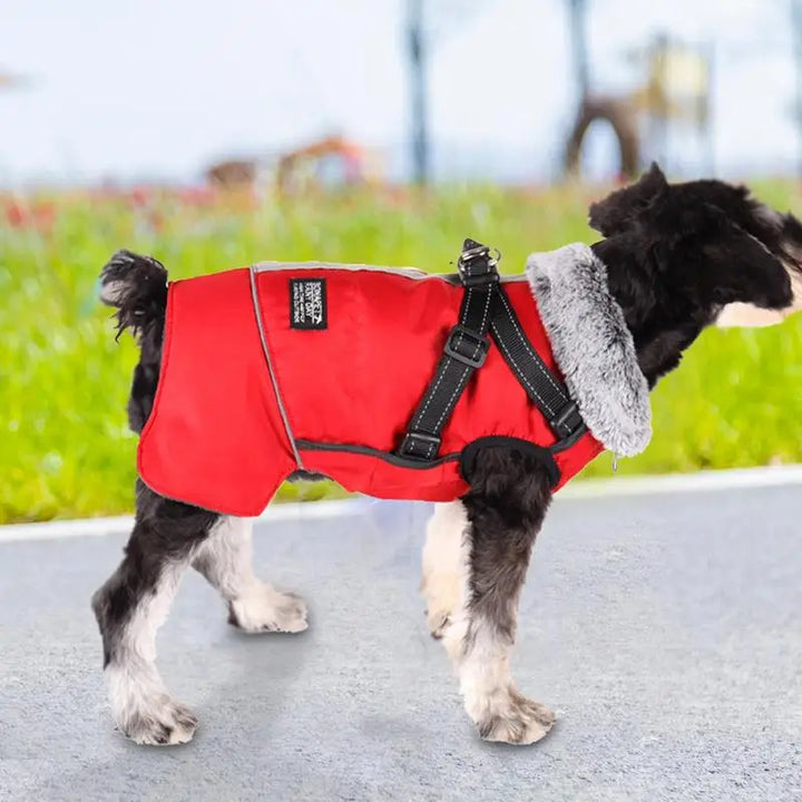 Triple-layer coat with integrated harness and warm collar