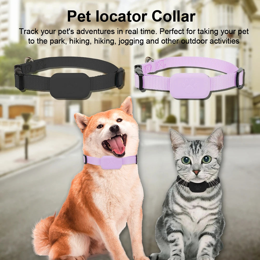 GPS collar for dogs and cats: visible, localizable, and always findable