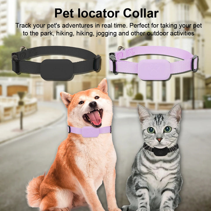GPS collar for dogs and cats: visible, localizable, and always findable